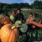 Apprendre à tenir un potager…en ville